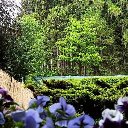 Skalka ホームステイ カルパッチ