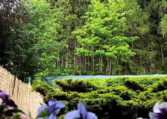 Skalka 홈스테이 카르파츠